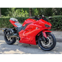 Panigale 305